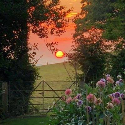 威尼斯电子游戏大厅截图