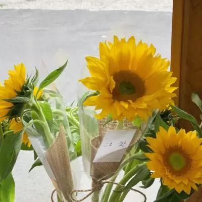 皇冠app官方版下载安装